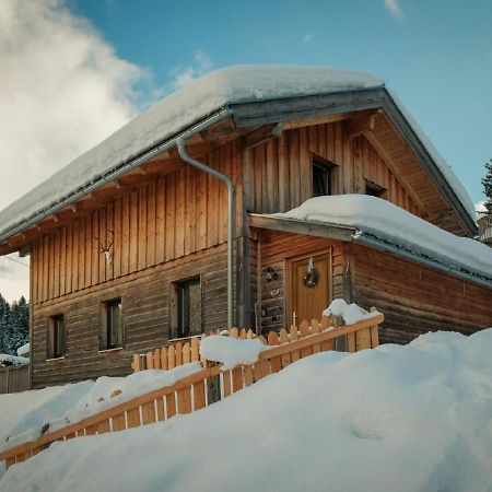 Chalet In Annaberg-Lungoetz With Terrace Annaberg im Lammertal Exterior photo